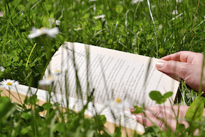 Summertime reading on a meadow in peace.