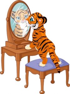 Tiger in Mirror copy