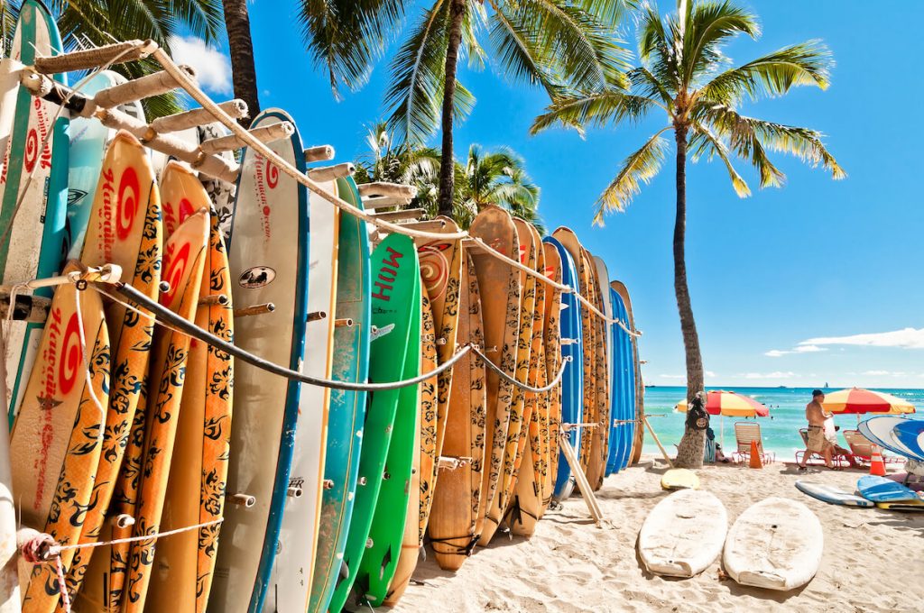 Row of colorful surfboards in the sand by the ocean. 